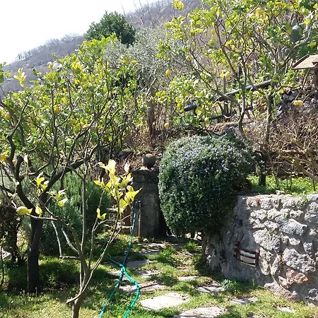 Il Piccolo Zaffiro Verde-blu Ischia