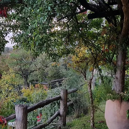 Il Piccolo Zaffiro Verde-blu Holiday home *