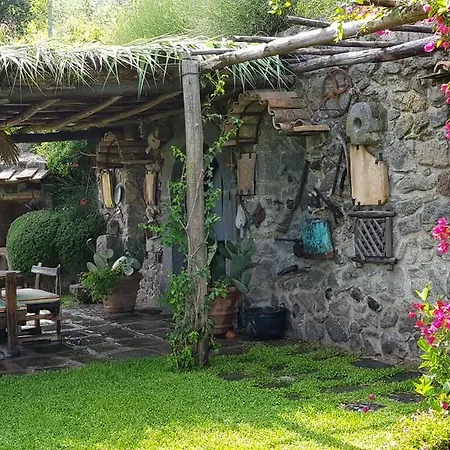 Il Piccolo Zaffiro Verde-blu Ischia
