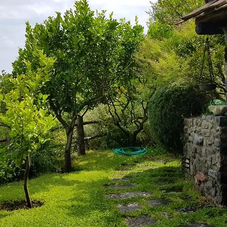 Il Piccolo Zaffiro Verde-blu Holiday home *