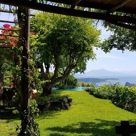 Holiday home Il Piccolo Zaffiro Verde-blu Ischia
